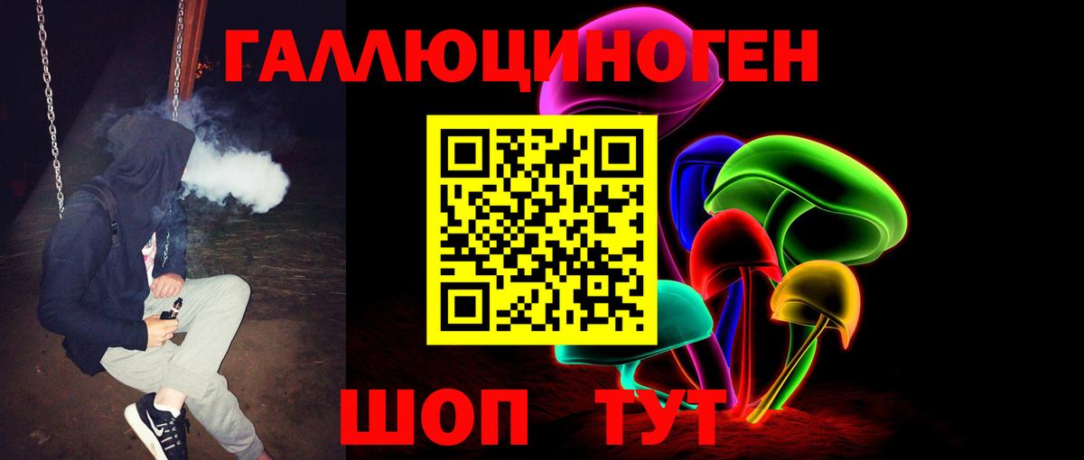 где можно купить наркотик  Вход с VPN  Вышний Волочёк  Псилоцибиновые грибы Psilocybe 